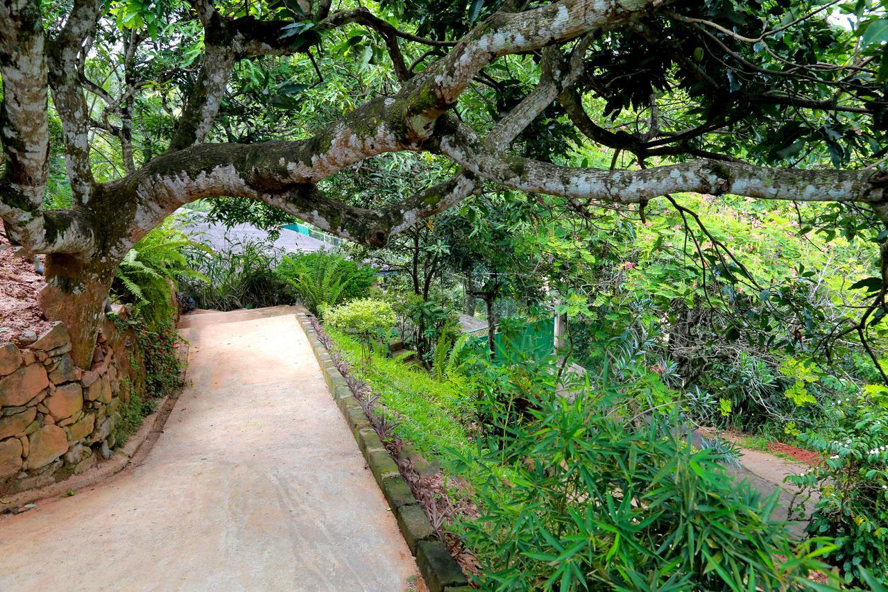 Villa Serene Kandy Exterior photo